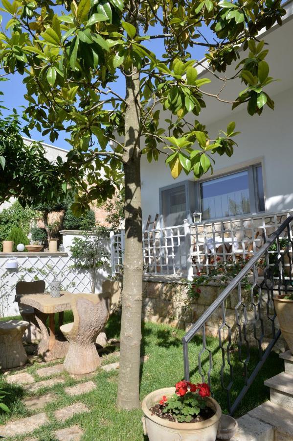 Alba Dei Trulli Bed and Breakfast Alberobello Buitenkant foto